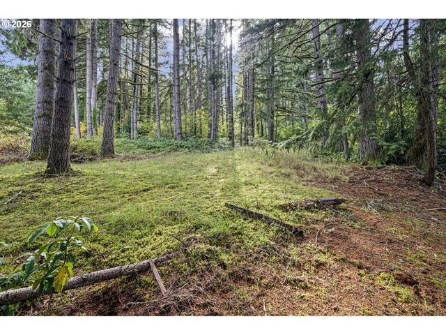 an aerial view of a house with a yard basket ball court and outdoor seating