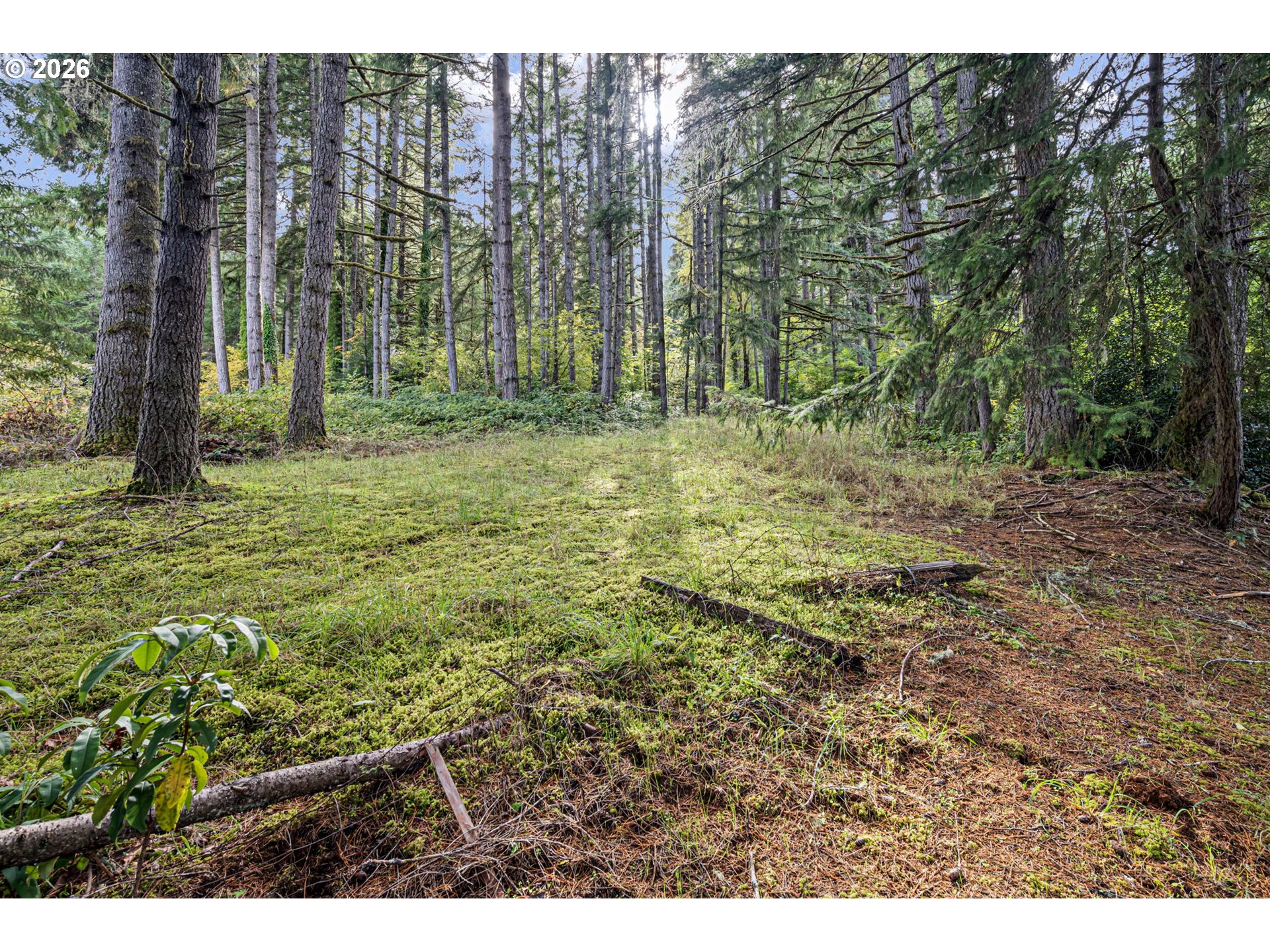 35982 Shoreview Drive Dorena, OR 97434 - Photo 43 of 46