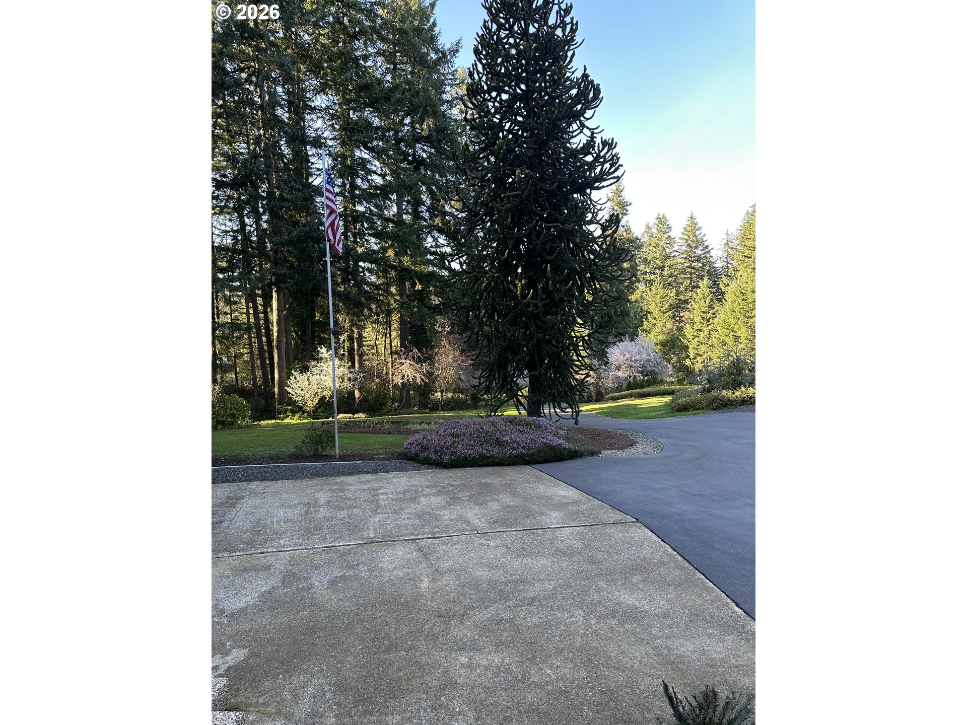 35982 Shoreview Drive Dorena, OR 97434 - Photo 47 of 47