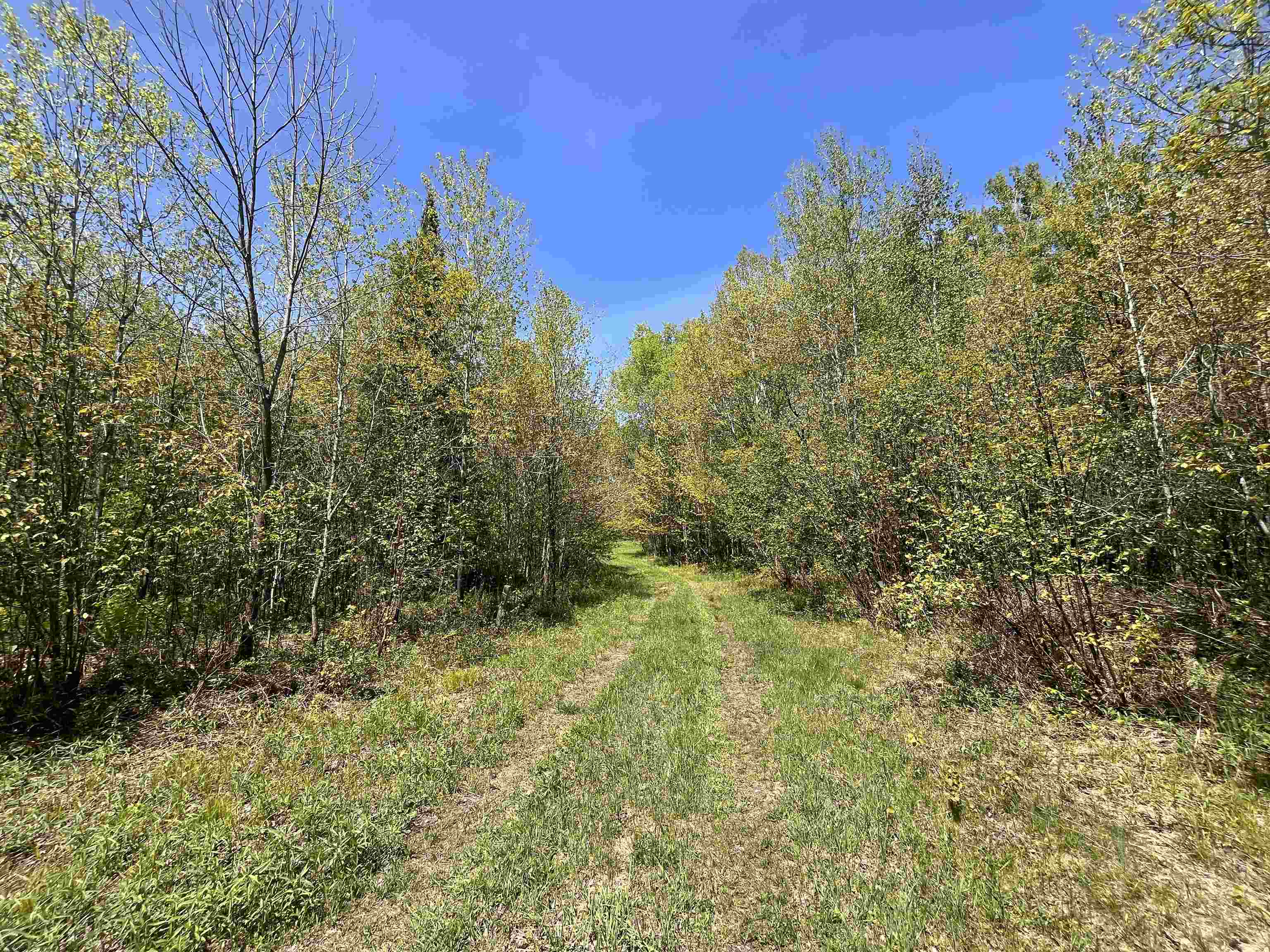 80-acres 80-acres Clausen Road Prentice, WI 54556 - Photo 14 of 17