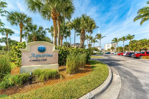 a view of a park with palm trees