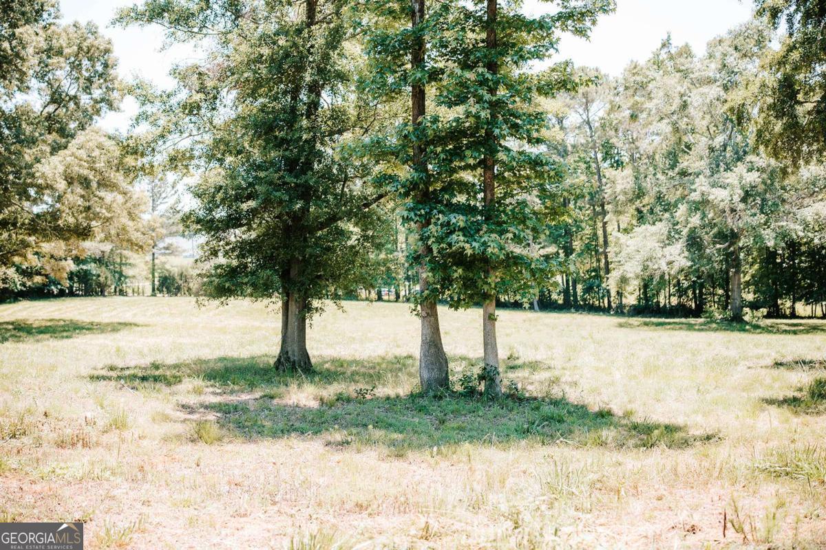 0 Mitchell Farm Road Colbert, GA 30628 - Photo 41 of 45