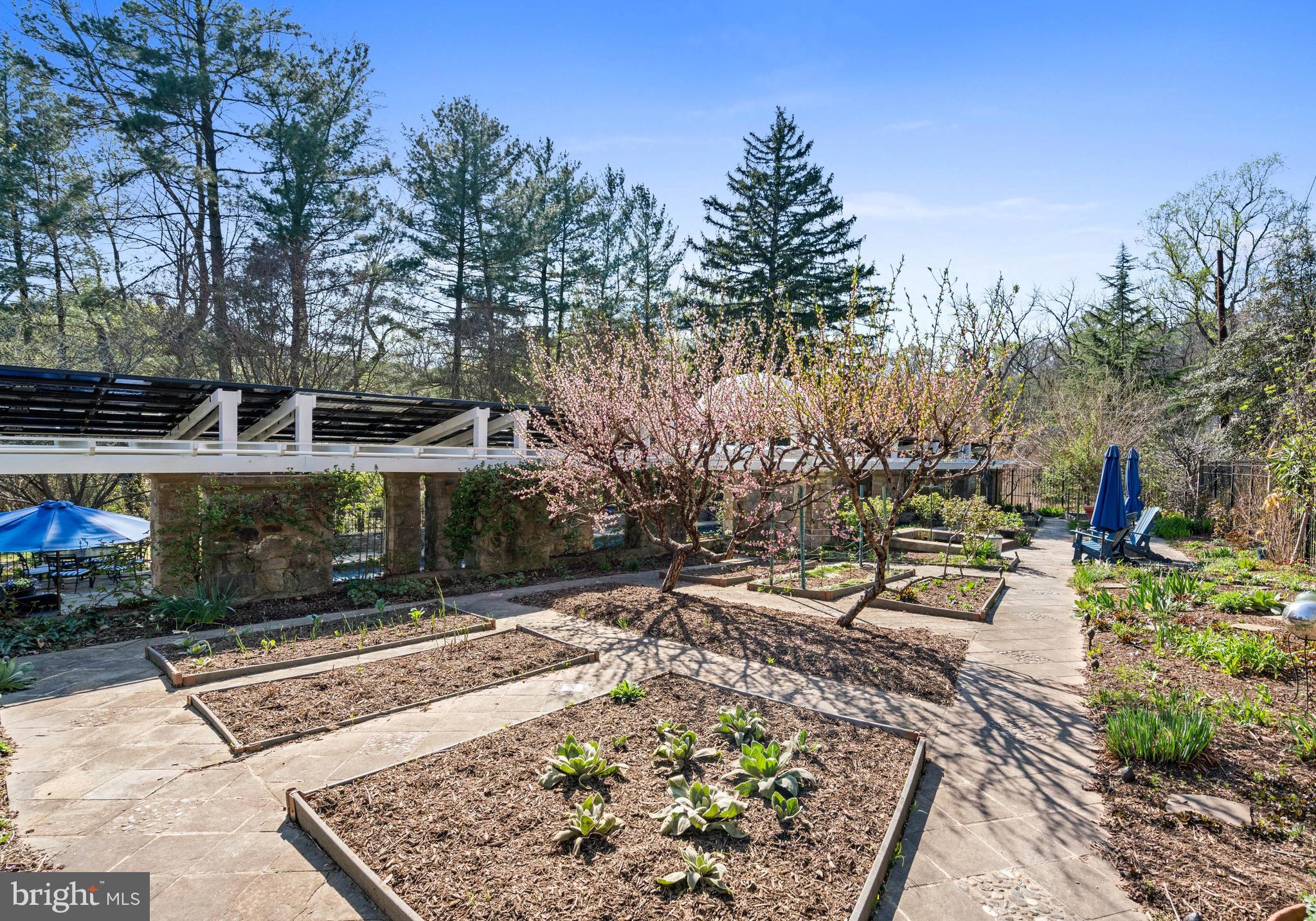 2325 Porter Street Northwest Washington, DC 20008 - Photo 40 of 50 a view of a yard with plants and trees