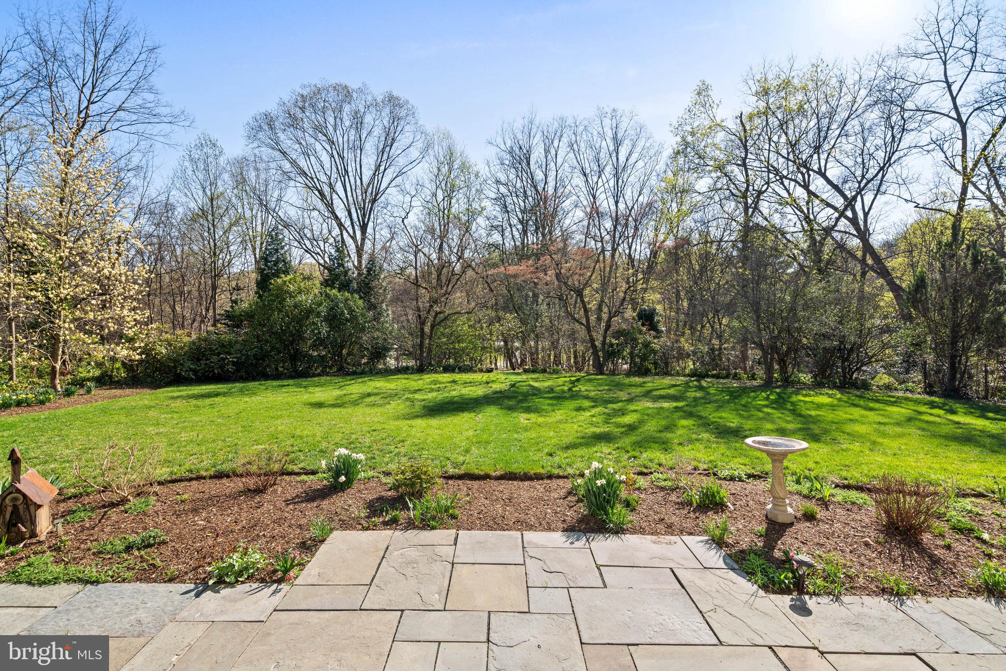 2325 Porter Street Northwest Washington, DC 20008 - Photo 46 of 50 a view of a park with large trees