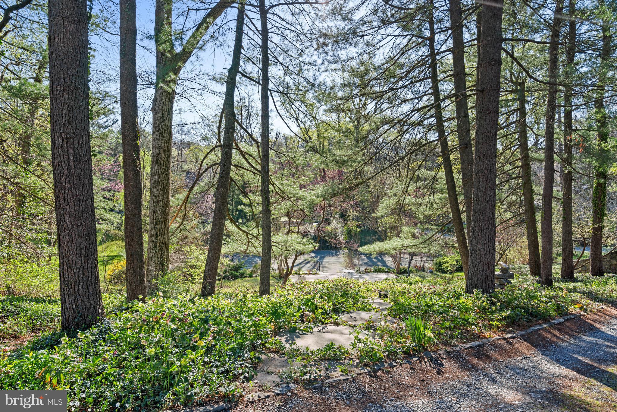 2325 Porter Street Northwest Washington, DC 20008 - Photo 48 of 50 a view of outdoor space and garden view