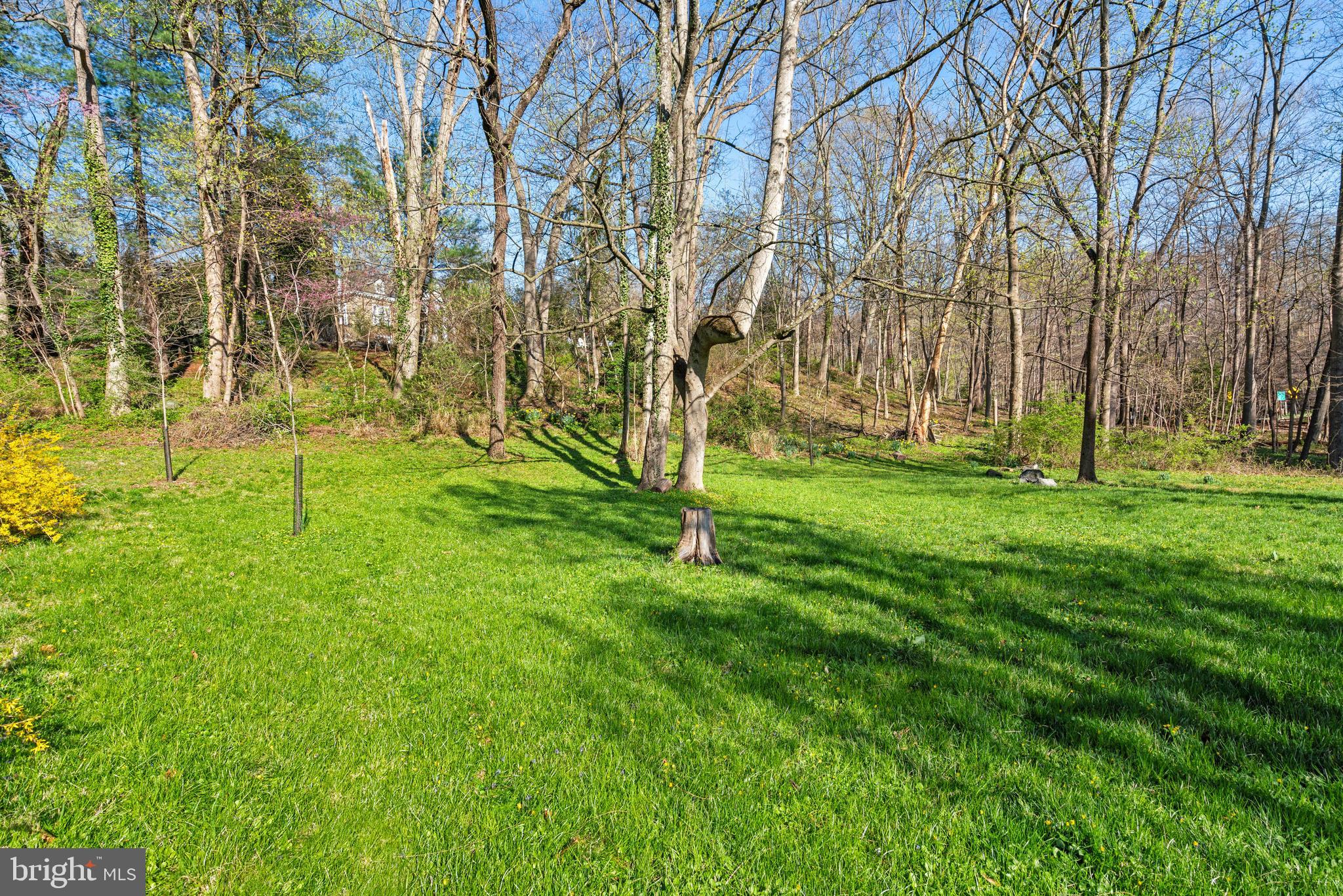 2325 Porter Street Northwest Washington, DC 20008 - Photo 49 of 50 a backyard of apartments with large trees