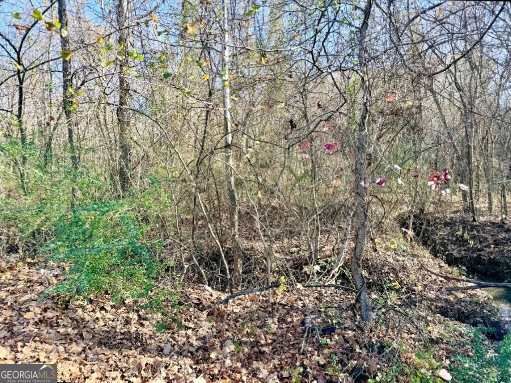 0 Horn Lake Road Memphis, TN 38109 - Photo 11 of 26