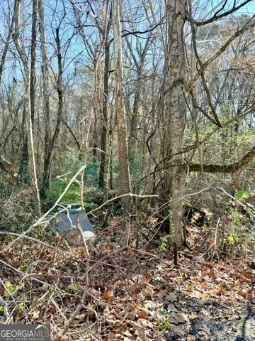 a view of a dry yard with large trees