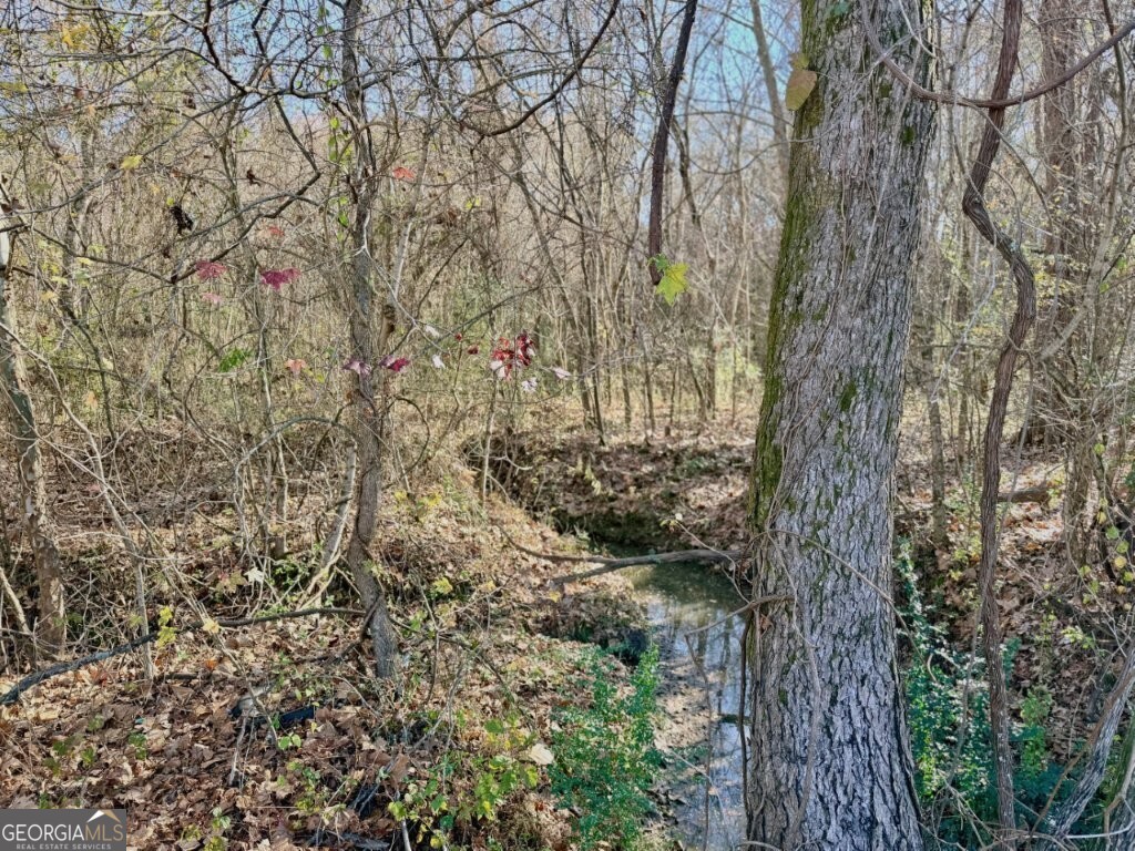 0 Horn Lake Road Memphis, TN 38109 - Photo 2 of 26