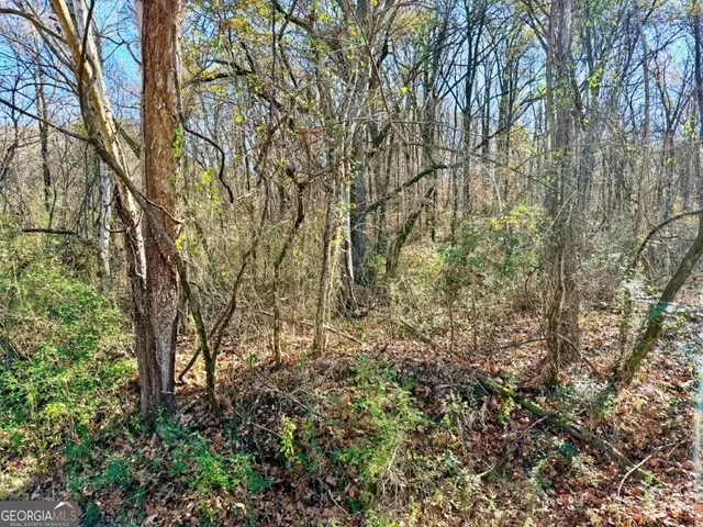 a view of a yard with a tree
