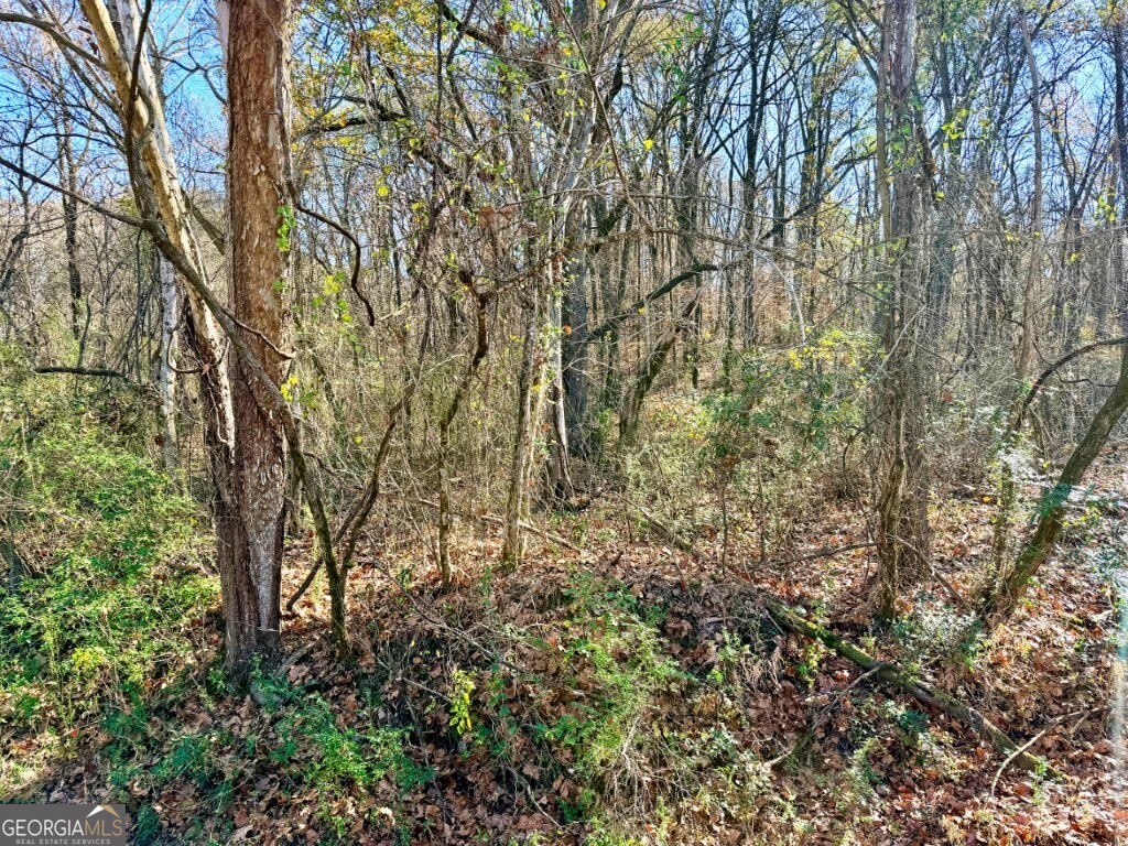 0 Horn Lake Road Memphis, TN 38109 - Photo 4 of 26