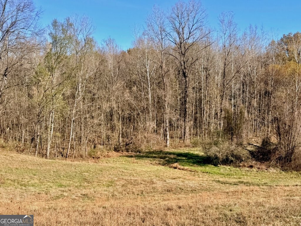 0 Horn Lake Road Memphis, TN 38109 - Photo 6 of 26