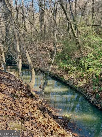 a view of a lake with a trees