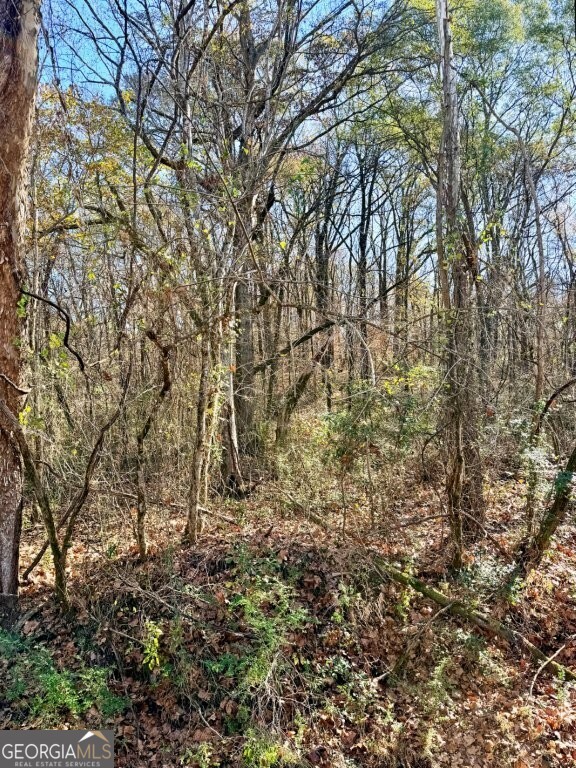 0 Horn Lake Road Memphis, TN 38109 - Photo 9 of 26