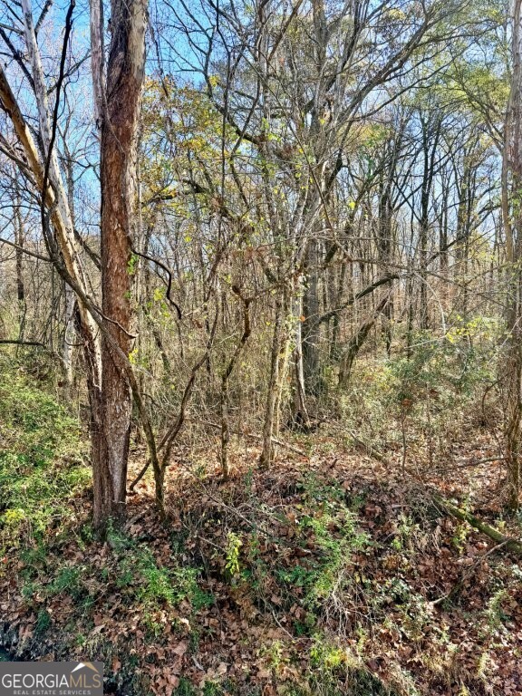0 Horn Lake Road Memphis, TN 38109 - Photo 10 of 26