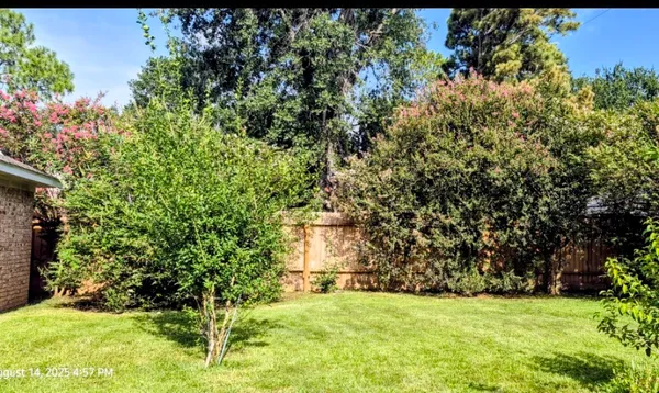 a view of a field with a tree
