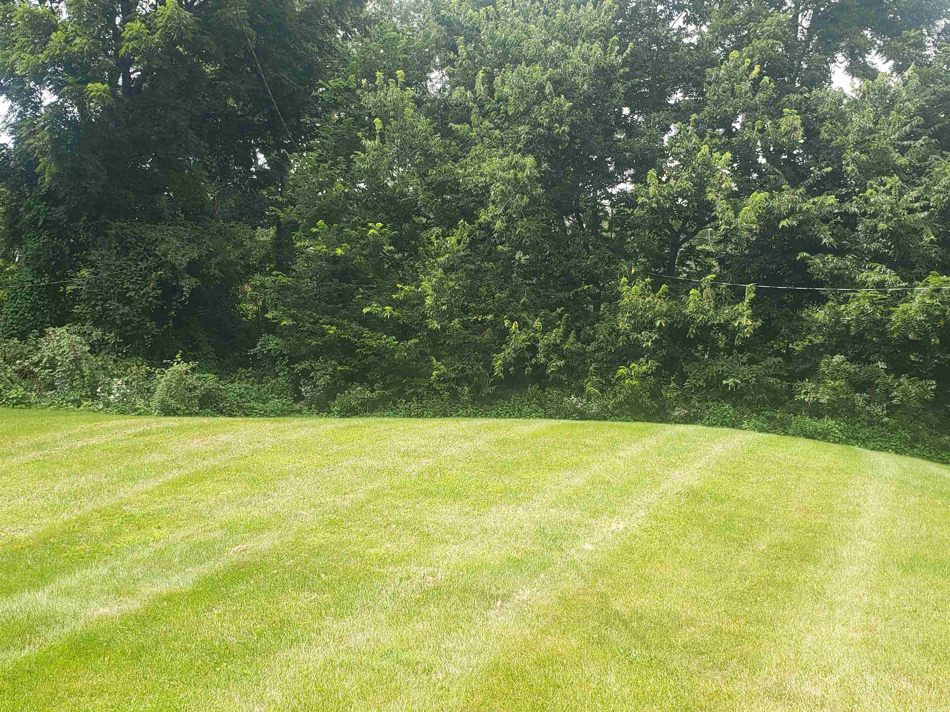 26 Craig Avenue Madison, WI 53705 - Photo 4 of 24