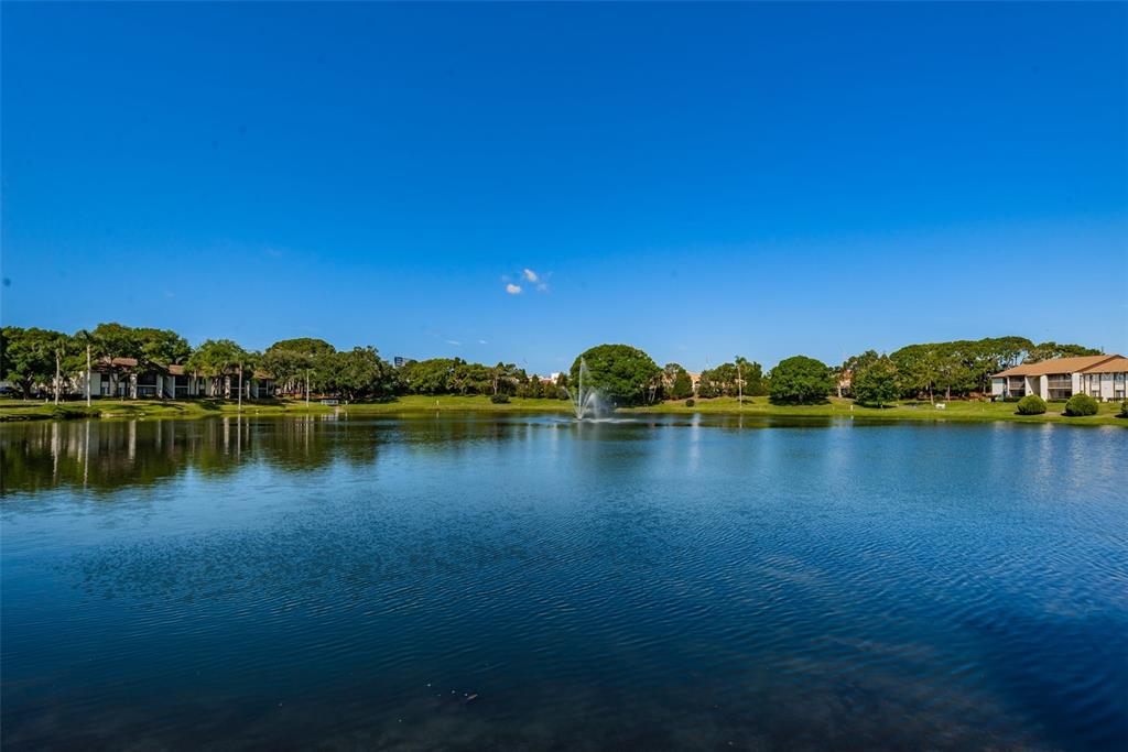 2522 Pine Ridge Way South, Unit A2 Palm Harbor, FL 34684 - Photo 29 of 34 a view of lake with houses