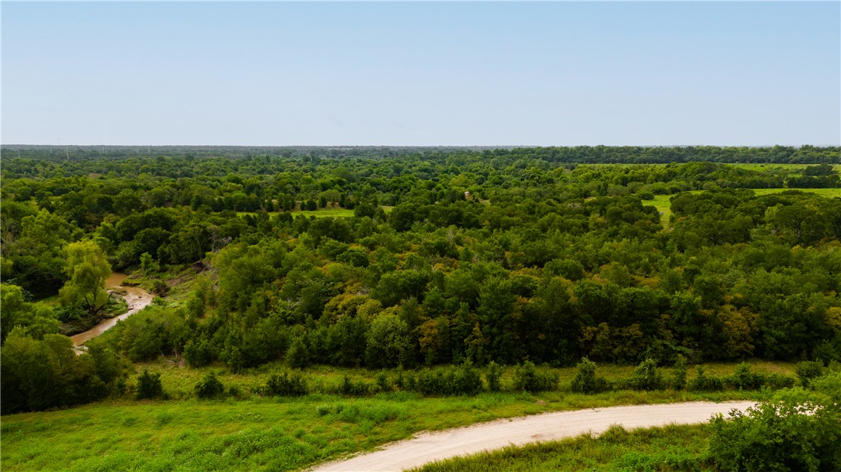 Tbd Leonard Road Bryan, TX 77807 - Photo 19 of 24 an aerial view of a field with trees
