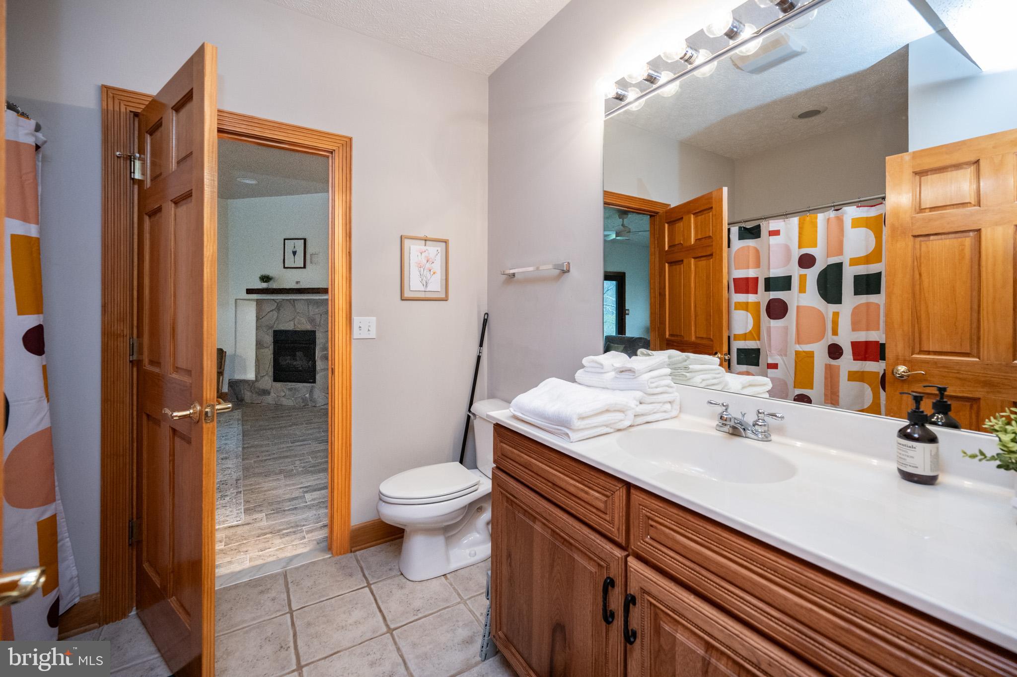 147 Marsh Hill Road McHenry, MD 21541 - Photo 45 of 60 a bathroom with a sink a toilet and shower