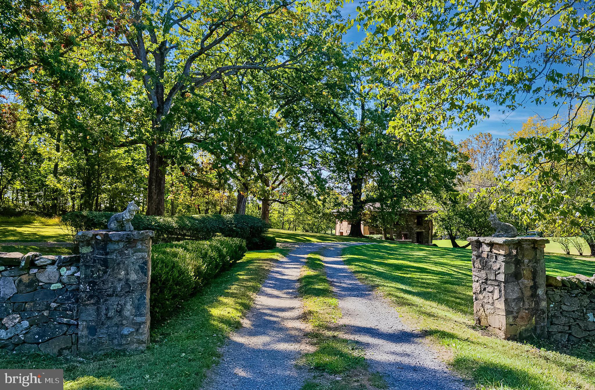 1610 Delaplane Grade Road Upperville, VA 20184 - Photo 23 of 123 Drive to the Guest House