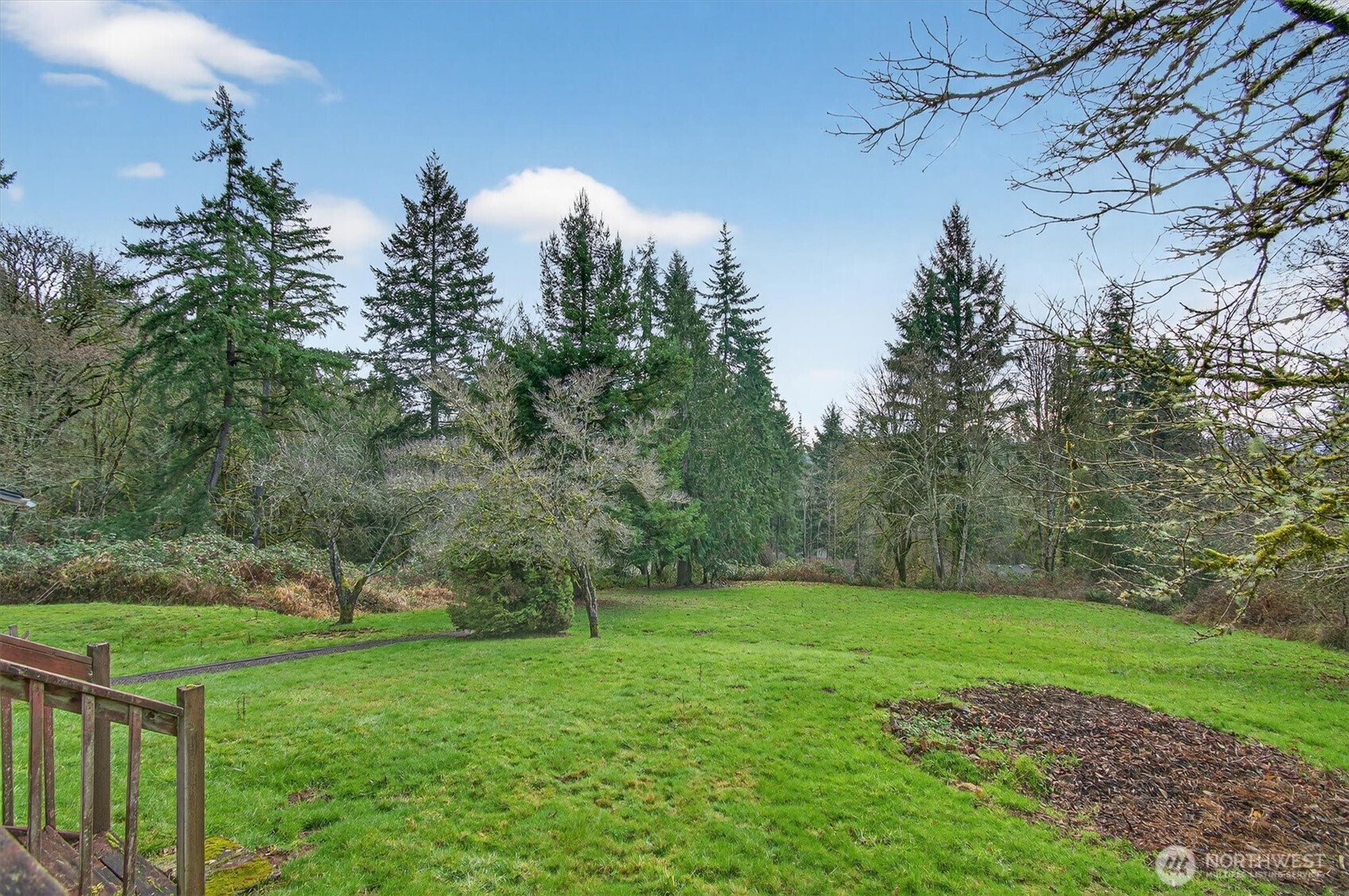 919 Cascade Drive Longview, WA 98632 - Photo 26 of 31 a view of a green field with lots of bushes