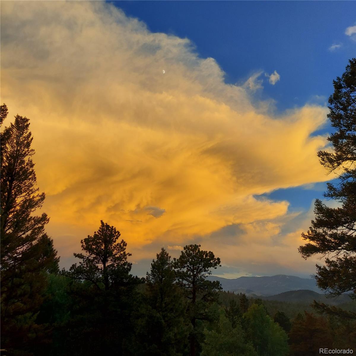30898 Witteman Road Conifer, CO 80433 - Photo 21 of 30 Gallery Image 21