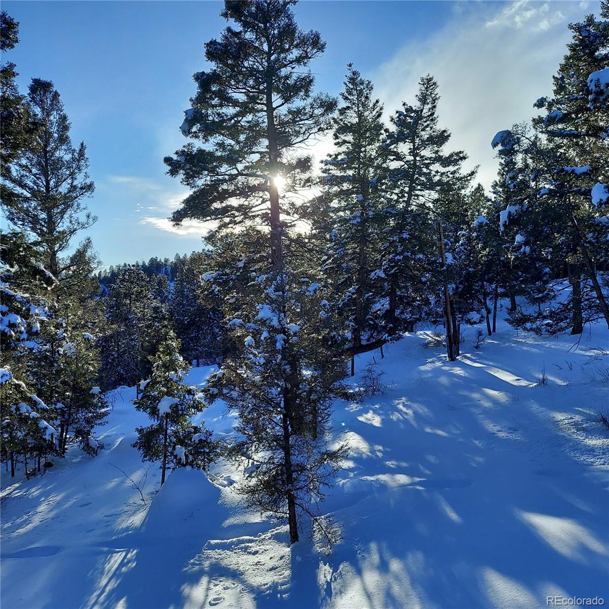 30898 Witteman Road Conifer, CO 80433 - Photo 30 of 30 Gallery Image 30