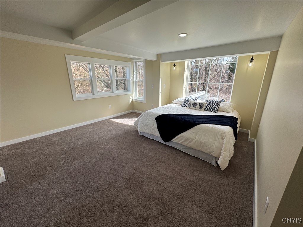 592 Peru Road Elbridge, NY 13080 - Photo 27 of 50