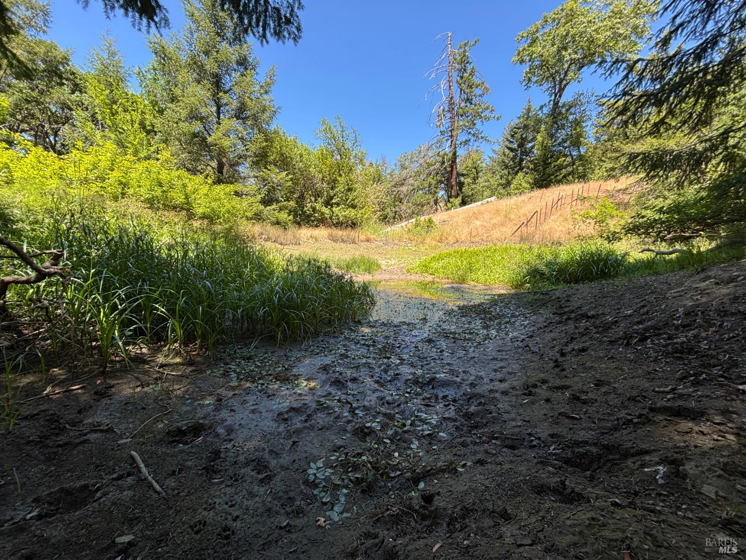 38401 Upper Road Willits, CA 95490 - Photo 11 of 14