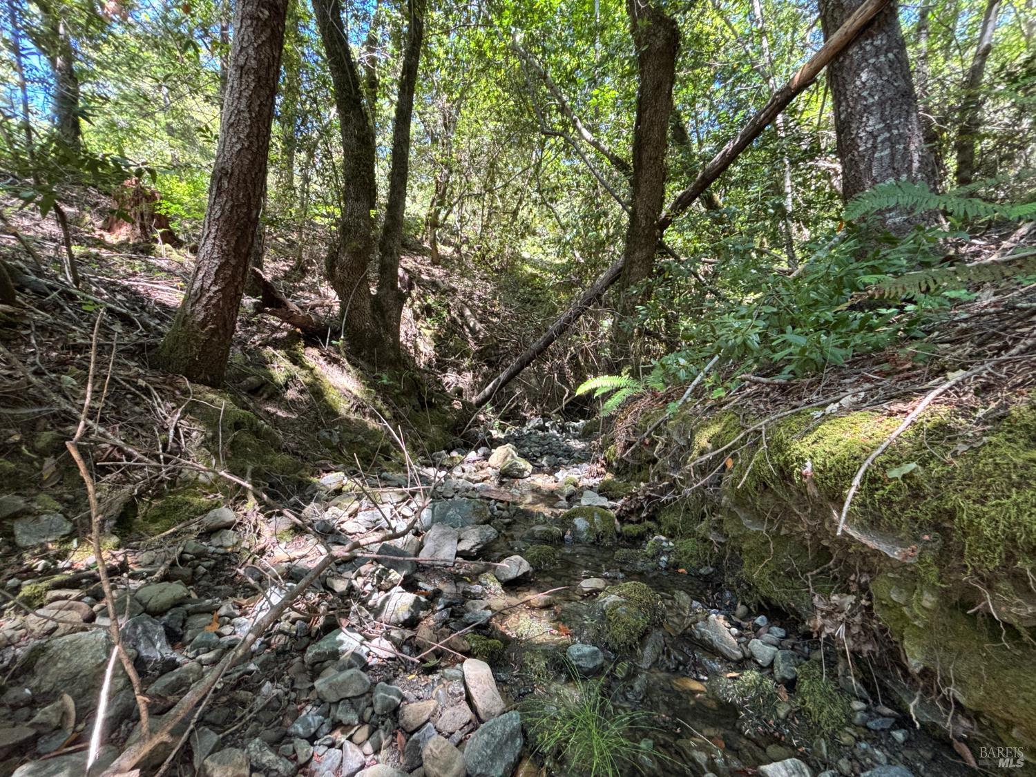 38401 Upper Road Willits, CA 95490 - Photo 12 of 14