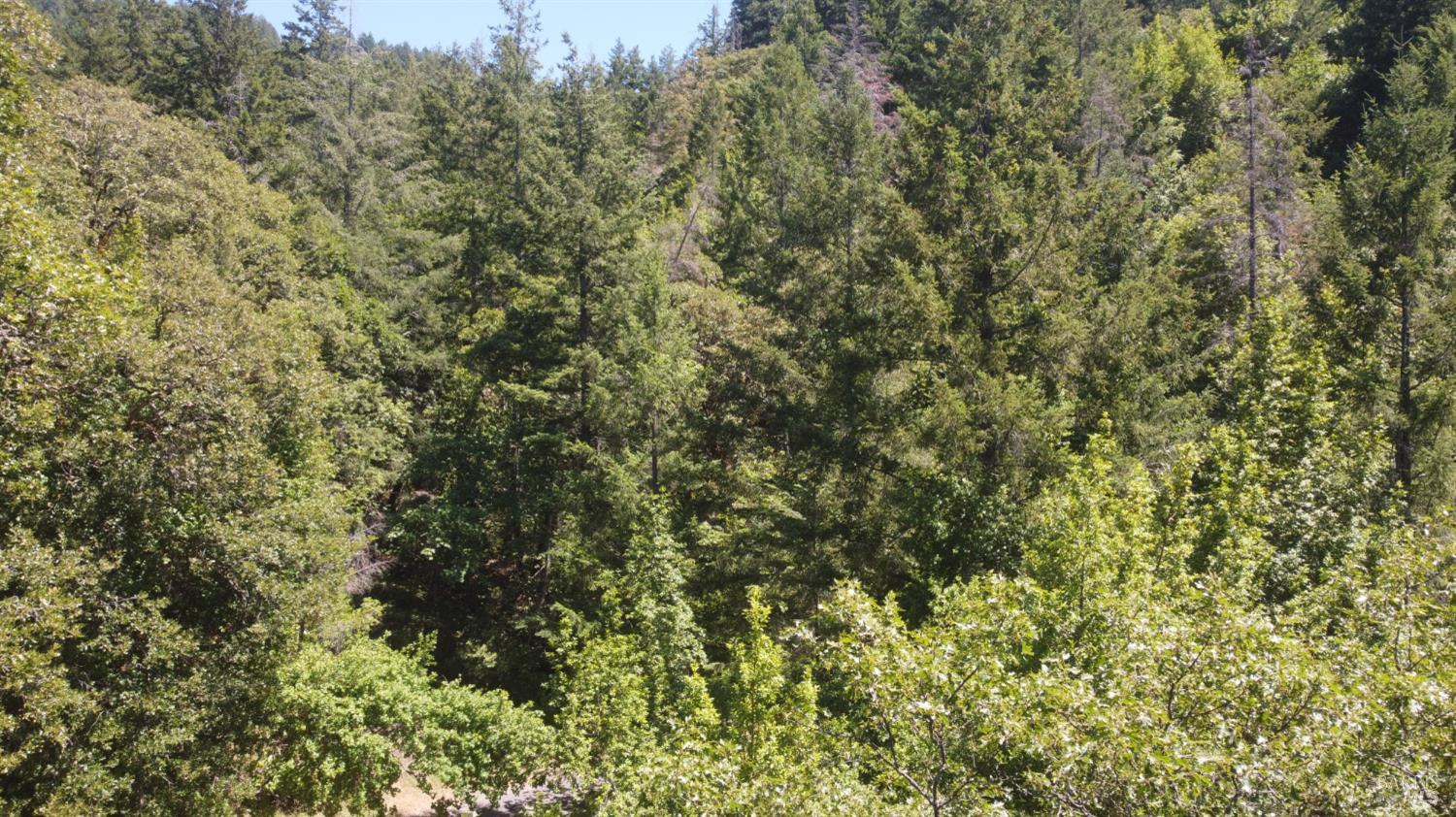 38401 Upper Road Willits, CA 95490 - Photo 14 of 14