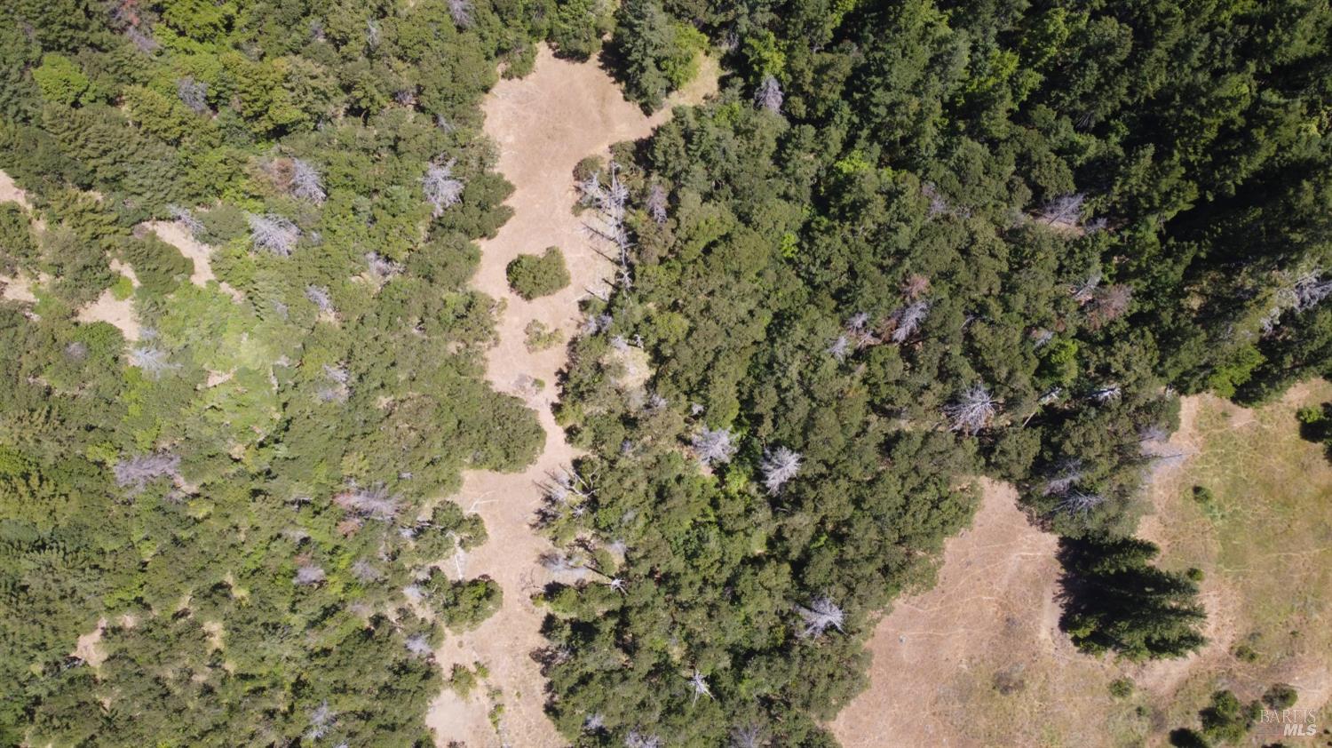 38401 Upper Road Willits, CA 95490 - Photo 5 of 14