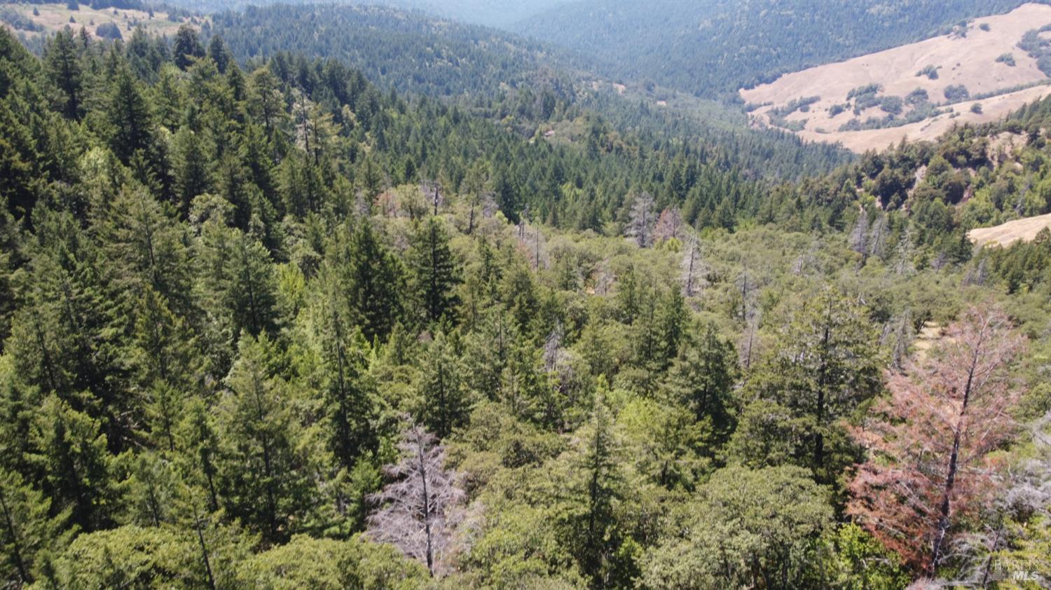 38401 Upper Road Willits, CA 95490 - Photo 6 of 14