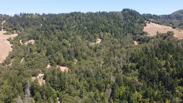 a view of outdoor space with swimming pool