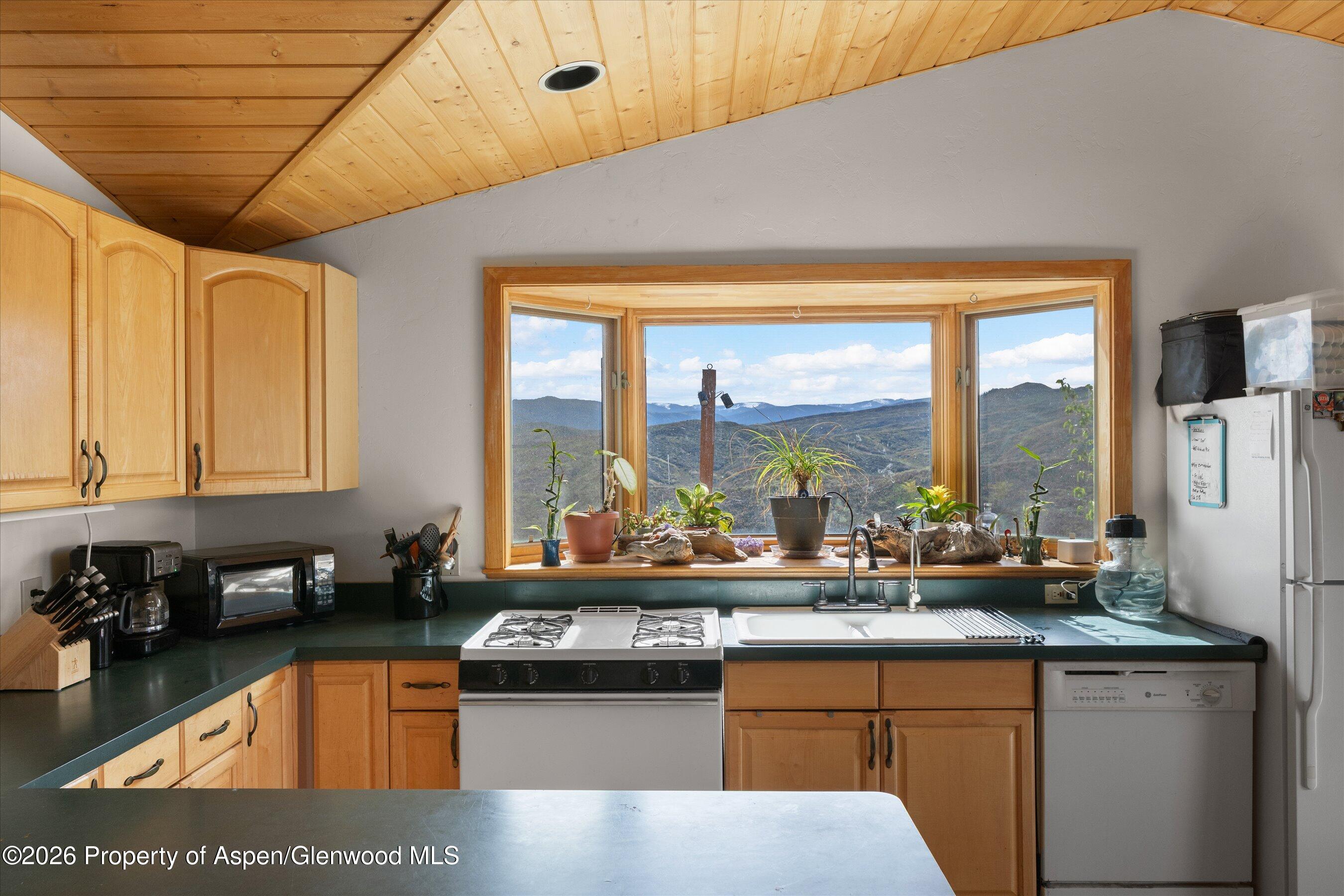 115 Rural Mountain Road Snowmass, CO 81654 - Photo 28 of 37 ApartmentKitchen