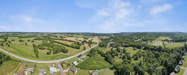 an aerial view of residential houses with outdoor space and trees