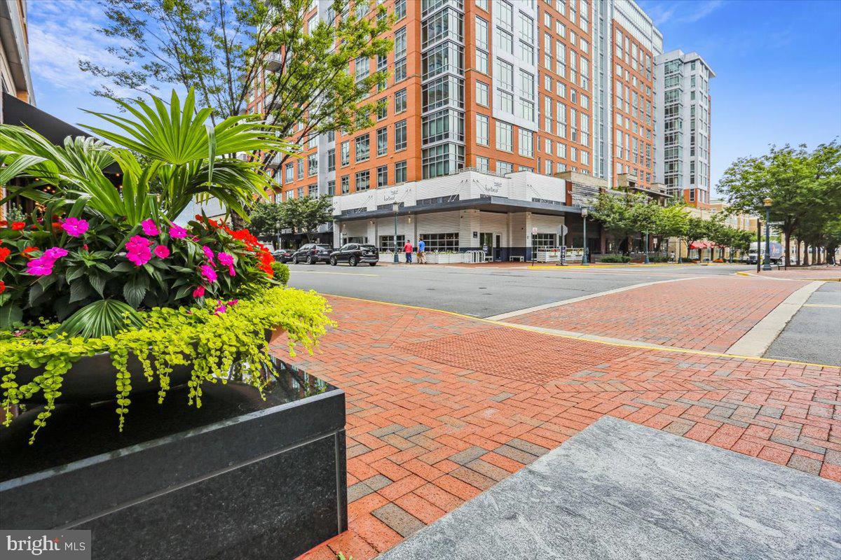 12000 Market Street, Unit 371 Reston, VA 20190 - Photo 48 of 81 The Savoy View