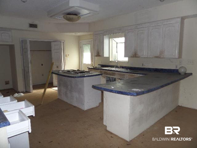 12423 County Road 87 Elberta, AL 36530 - Photo 23 of 38