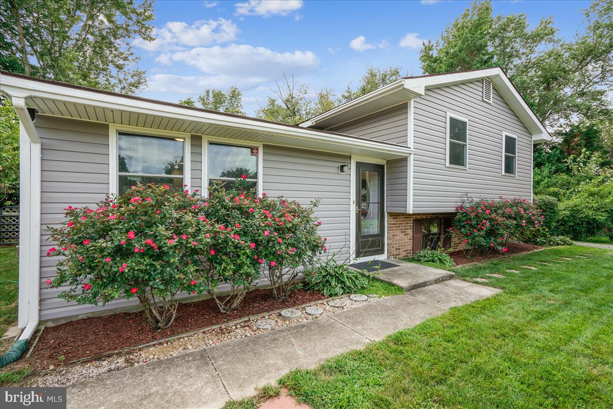 7365 Brett Road Easton, MD 21601 - Photo 2 of 63 Gallery Image 2