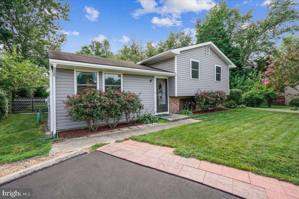 7365 Brett Road Easton, MD 21601 - Photo 6 of 63 Gallery Image 6