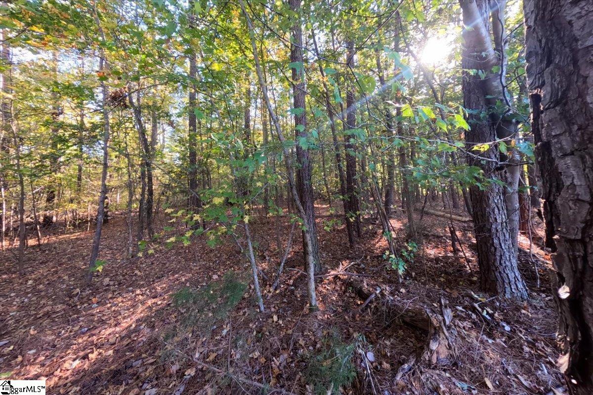 0 Poole Road Collinsville, MS 39325 - Photo 16 of 31