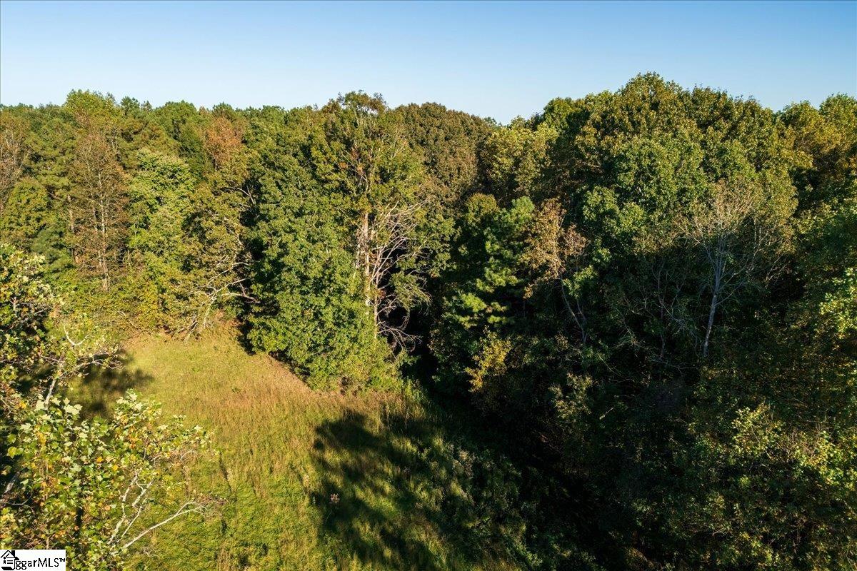 0 Poole Road Collinsville, MS 39325 - Photo 21 of 31