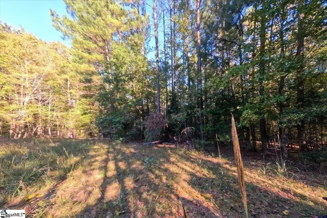 $200,000 | 0 Poole Road, Collinsville, MS 39325