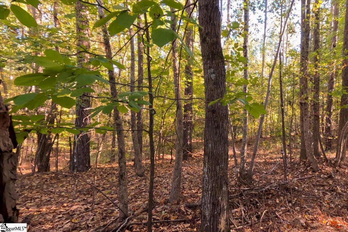 0 Poole Road Collinsville, MS 39325 - Photo 5 of 31