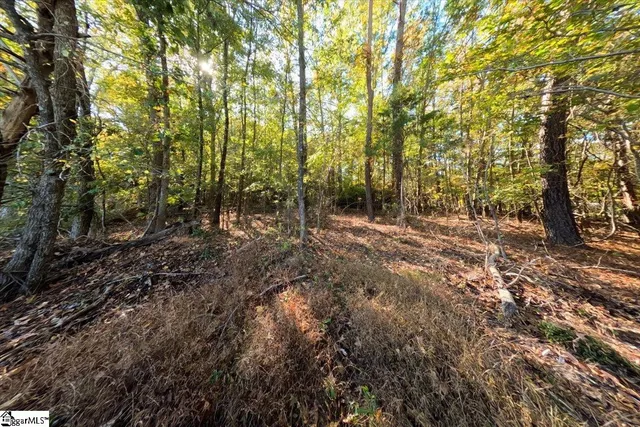 $200,000 | 0 Poole Road, Collinsville, MS 39325