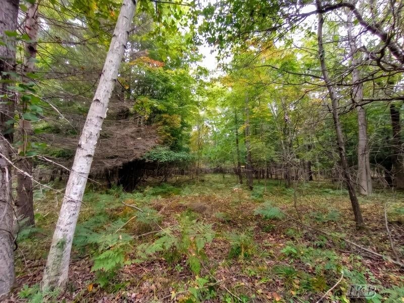 35.11-acres North Hockaday Road Gladwin, MI 48624 - Photo 59 of 83 Gallery Image 59