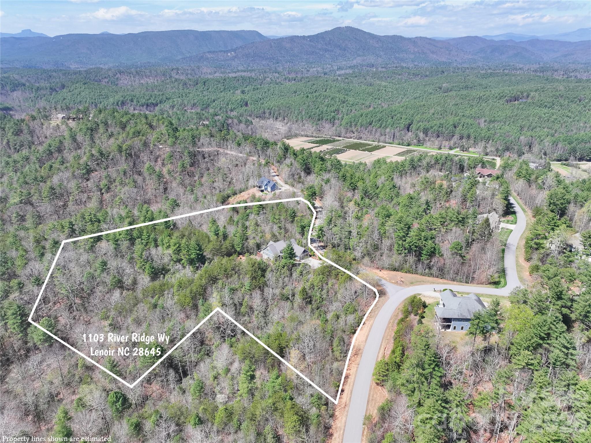 1103 River Ridge Way Lenoir, NC 28645 - Photo 45 of 46