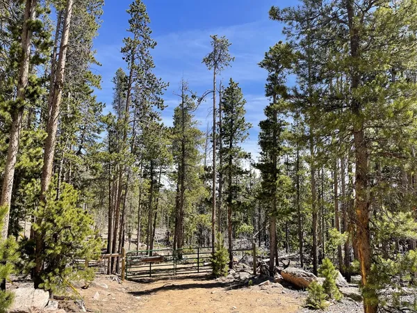 $165,000 | 1374 Jicarilla Trail, Red Feather Lakes, CO 80545