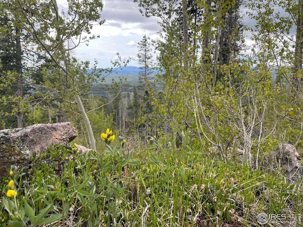 $165,000 | 1374 Jicarilla Trail, Red Feather Lakes, CO 80545